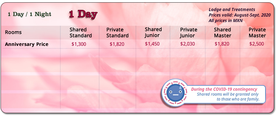 1 Day SPA Package