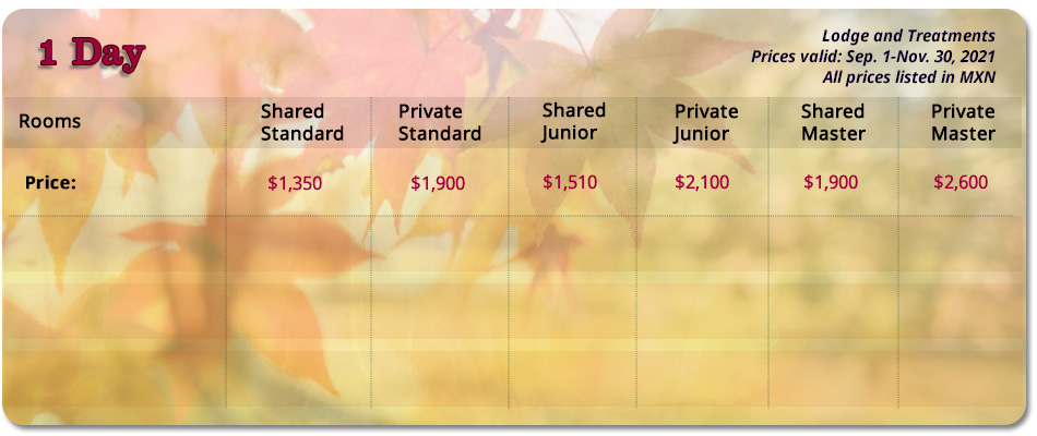 1 Day SPA Package