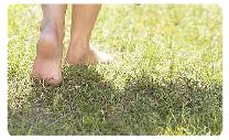 barefoot walk on grass