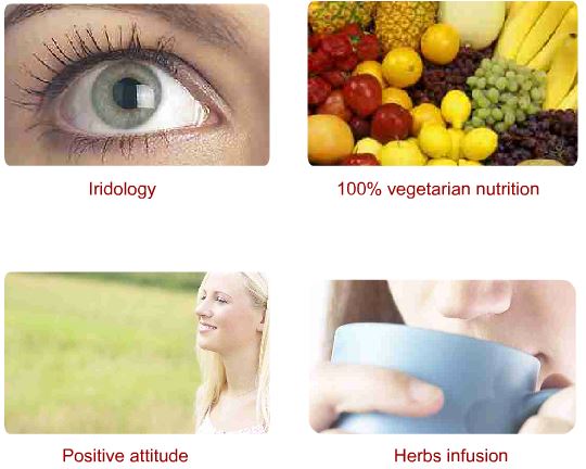 Iridology, vegan nutrition, positive attitude